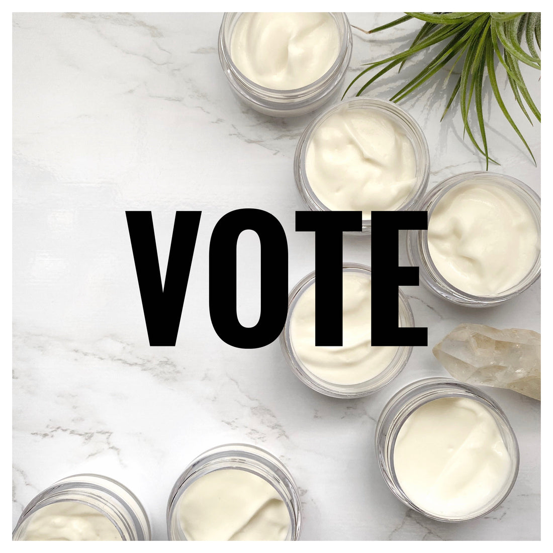 VOTE